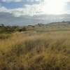 Affordable Plots in THIKA-MUTHARAA. thumb 6