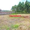 0.05 ha Residential Land at Lusingeti thumb 8