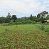3.25 Acres Of Land For Sale in Ruku/Wangige thumb 2