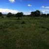5,000 m² Land at Nanyuki Mount Kenya View thumb 1