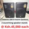 YAMAHA CBR15 Passive Speakers thumb 0