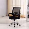 Clerical Mesh Office Chair thumb 6