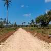 Prime Tropical Land Plot Cleared for Building thumb 3