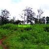 0.64 ac Residential Land in Thindigua thumb 4