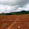 500 acres along Athi-River in Kibwezi Makueni County thumb 3