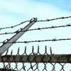 Hikvision Security Support | CCTV System Maintenance | CCTV & Security Cameras Installation & Repairs  | Electric Fencing & Barbed Wire Installation & Repairs  | Security Gates & Bars Installation & Repairs  |  Call for A Free Quote Today ! thumb 2
