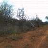 50 acres near ikoyo primary school makindu makueni county thumb 7
