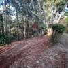 1.5 ac Land in Spring Valley thumb 11