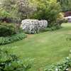 Best Garden Design, Landscaping & Gardening Services | Lawn Care & Yard Waste Removal thumb 0