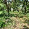 2.5 ac Land at Serena thumb 33