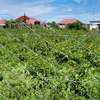Prime affordable plots for sale in kitengela K.A.G thumb 3