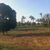 Land at Mavueni Kaloleni Road thumb 0
