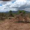 1000 Acres Prime Land Is Available for Sale in Mailua Town thumb 2