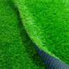 QUALITY AFFORDABLE GRASS  CARPETS thumb 5