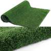 QUALITY GRASS CARPETS FOR YOUR COMPOUND thumb 2