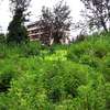 0.64 ac Residential Land in Thindigua thumb 2