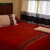 2& 3 bedroom furnished standalone in buruburu thumb 0