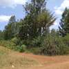 1/8 acre plots for sale - Ruiru, Kiambu thumb 2