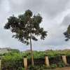 Residential Land at Migaa thumb 17