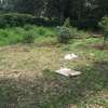 Lovely One Acre in Karen thumb 6