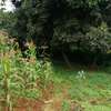 0.3 ac Residential Land at Kikuyu Road thumb 6