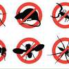 Cockroach, Bed bug, Flies, Ants, Rat & Termite Pest control thumb 5