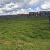 Empakasi Gardens Phase 2 6-Decimal Serviced Plot thumb 4