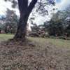 0.13 ac Land at Langata Road thumb 15