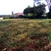 Residential Land at Nyari Estate thumb 6