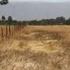 30 ac land for sale in Nyandarua County thumb 1