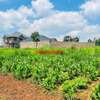 0.05 ha Residential Land at Kamangu thumb 9
