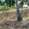 15 ac Land at Bomani thumb 11