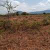 10 Acres for sale in canaan within voi thumb 3