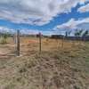 1/8 Acre land for Sale inJoska near Sunshine Junction thumb 6
