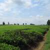 Land in Kiambu Town thumb 9
