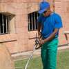 Bestcare Garden Maintenance Services in Nairobi Mombasa thumb 5