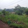 10 ac Land at Thindigua thumb 7