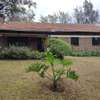 4 Bed House with En Suite at Kerarapon Road thumb 22