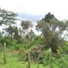 Ideally Located 1/4 Acre Plots With Forest Mt Kenya View thumb 0