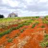 FOR SALE: Prime 1/8 Acre Residential Plots in Ruiru thumb 0