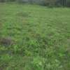 Beautiful one eighth plots in Ngong thumb 6