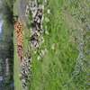 1 ACRE OF LAND IN SOFIA ESTATE HOMA BAY thumb 4
