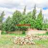 0.16 ha Residential Land at Kamangu thumb 10