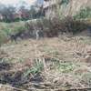 PRIME EIGHTH PLOT AT THE HEART OF THIKA TOWN thumb 0
