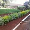 3 Bed House with En Suite in Lavington thumb 18