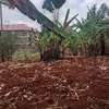 50 by 100 plot for sale in Ruaka thumb 1