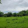 Commercial Land in Mtwapa thumb 24