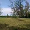 Prime Plots Diani Galu 1/4 Acre, 700m to Beach thumb 3