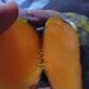 Fresh Ripe Peaches Naturally Sweet Juicy Snack thumb 3