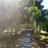 Moringa Furnished Cottage with AC 5 min to the Beach thumb 1